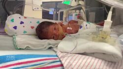 #TheMoment quadruplets were born on leap day News Clip