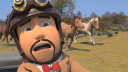 Pony Problems Instructional Video