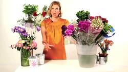 How to Inspect Flowers for Freshness Instructional Video