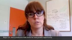 Drought, labour shortages lead fruit sellers to explore growing in Canada News Clip