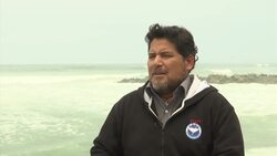 Tourists flock to Peru's Palomino islands to swim with sea lions Instructional Video