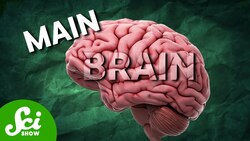 Why Do We Rhyme? Instructional Video