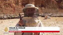 Israel-Hezbollah tensions: Near daily exchange of fire affecting livelihoods News Clip