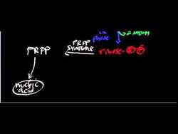 Pentose Phosphate Shunt Application Instructional Video