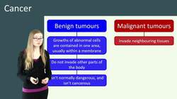 Understanding Cancer: Types, Tumors, and Risk Factors Instructional Video