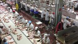 RCMP investigating death tied to Cargill COVID-19 outbreak News Clip