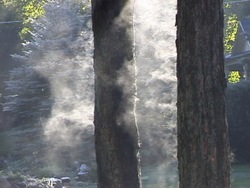 Las fases cambiantes de la materia: cambio de fase líquida a gaseosa Instructional Video