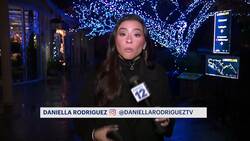Brooklyn Botanic Lightscape winter light show returns for its fourth year News Clip