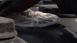 CLEAN : STOCKSHOTS: China's agricultural and industrial construction News Clip