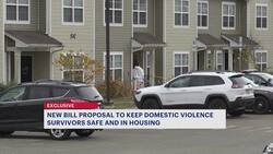 Exclusive: Somers domestic violence survivor forced onto apartment waiting list after leaving home, seeks law change News Clip