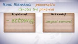 HST-MT - Medical Terminology of the Endocrine System Instructional Video
