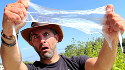 Yuck! What Creature Made this Slime?! Instructional Video