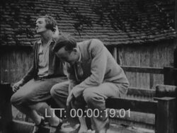 Belgium Farm Life Stock Footage