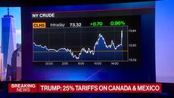 Trump Plans to Hit Canada and Mexico With 25% Tariffs News Clip