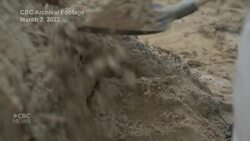 Daycare dilemma had single mom considering return to Ukraine News Clip