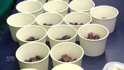 Muslim students' association provides Ramadan meals at sundown News Clip