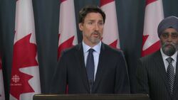Trudeau says many countries have offered their support News Clip