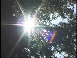 The Nature of Light: Electromagnetic Spectrum Instructional Video