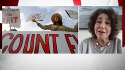 Trump's election response not a surprise, says former Gore adviser News Clip