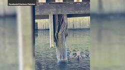 Detour interrupts a scenic tourist route in Portapique News Clip