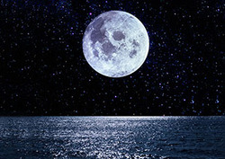 Moon Instructional Video