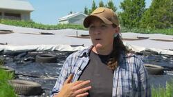 N.S. farms lost more than $40M in 2024 News Clip
