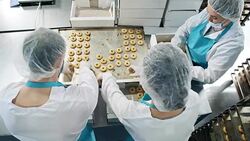 Employees Packing Cookies into Boxes at Factory Stock Footage