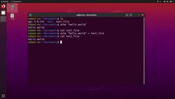 Practical Linux Command Line 2.0 - Write Some Text Inside a File from the Terminal (Echo) Instructional Video