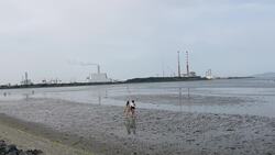 People enjoy the heat on Sandymount Strand in Dublin News Clip