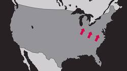 Madam Queenie: New York's Notorious Crime Boss Instructional Video