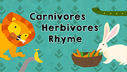 Herbivore vs. Carnivore - Jump into the Animal Kingdom Instructional Video