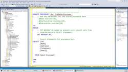 ASP.NET 6.0 - Build Hands-On Web Projects - Understand the Stored Procedures for CRUD Operation Instructional Video