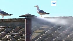 'Peace be with you all,' says Pope Leo XIV in first public address since conclave election News Clip