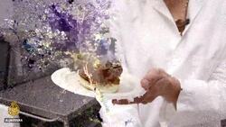 Vegan meat revolution could help solve global warming News Clip