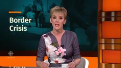 Canada’s border crisis: Trump or Trudeau to blame? News Clip