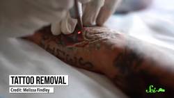 How Scientists Protect the World's Most Famous Art Instructional Video