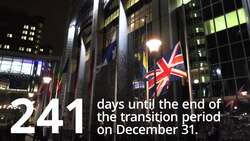 Brexit briefing: 241 days until the end of the transition period News Clip