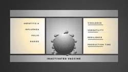 TED-Ed: How fast can a vaccine be made? Instructional Video