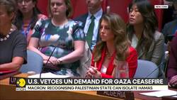 US Vetoes UN Demand For Gaza Ceasefire | US Envoy Calls Resolution 'Unacceptable" News Clip