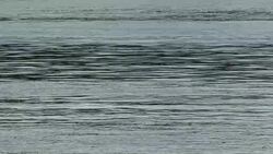 Slow Motion of fresh water river waves and ripples Stock Footage