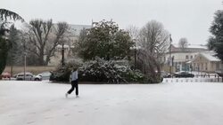 CLEAN : Snowfall in Versailles near Paris News Clip