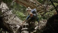 How Scientists Are Saving the Incredibly Elusive Yellow Legged Frog Instructional Video