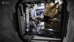 I WONDER - Do Astronauts Exercise In Space? Instructional Video