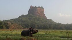 Sigiriya Revealed: Majestic Drone Views of Sri Lanka's Past Stock Footage