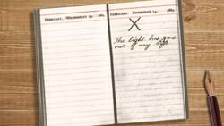 Vice President Instructional Video