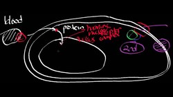 Nuclear Receptors Instructional Video