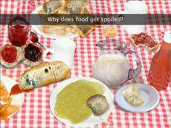 Food Spoilage Instructional Video