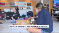 Maritime Chevrolet hosts Clear the Shelter pet adoption event News Clip