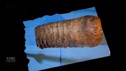 Swedish scientists recover world's oldest DNA from ancient mammoths News Clip