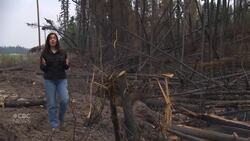 On the front lines of the wildfire fight News Clip